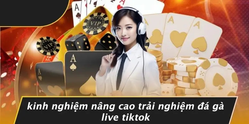 Kinh Nghiệm Nâng Cao Trải Nghiệm Đá Gà Live Tiktok