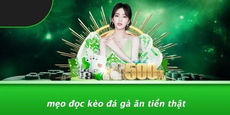 Mẹo Đọc Kèo Đá Gà Ăn Tiền Thật