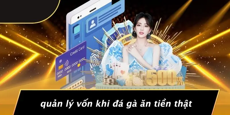 Quản Lý Vốn Khi Đá Gà Ăn Tiền Thật