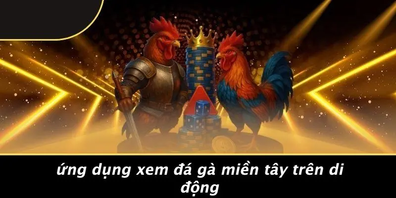 Ứng Dụng Xem Đá Gà Miền Tây Trên Di Động