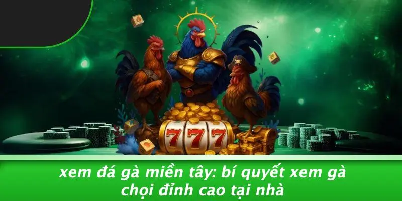 XEM ĐÁ GÀ MIỀN TÂY: BÍ QUYẾT XEM GÀ CHỌI ĐỈNH CAO TẠI NHÀ